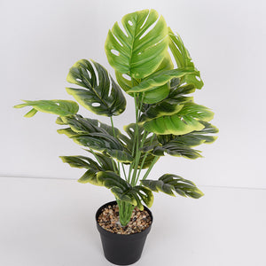 Artificial Flower Green Plant Monstera Plant Flower Indoor