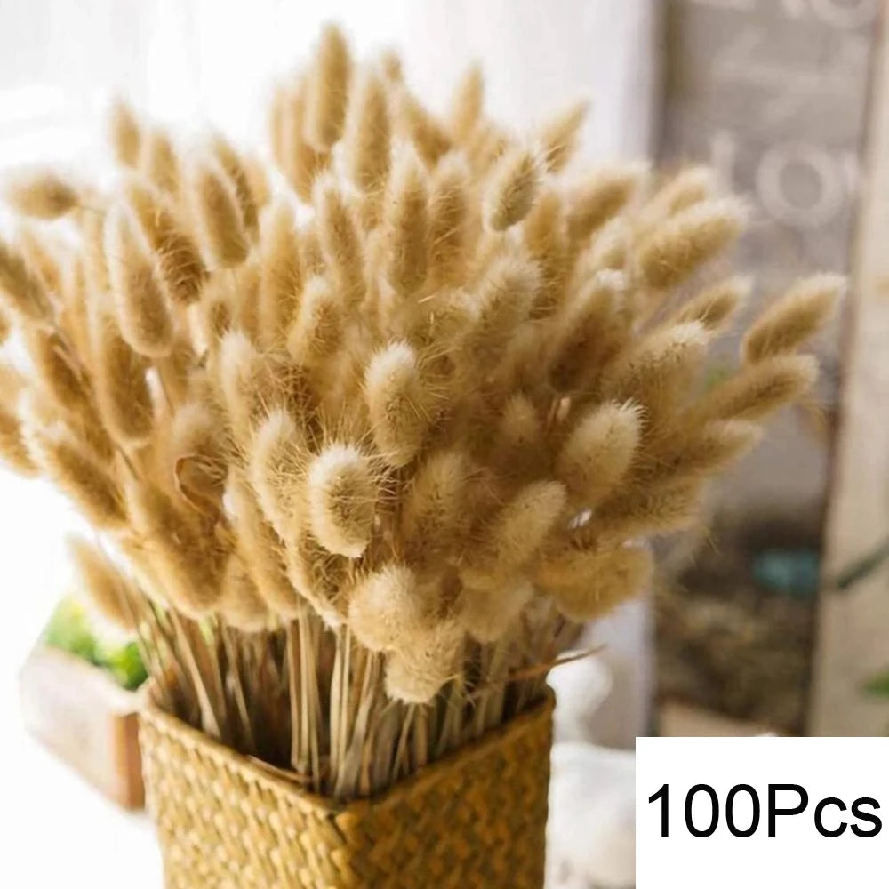 Dried Pampas Grass Decoration, Dry Flowers Bouquet Set for Living Room,Vase Arrangement,Wedding Bouquet Floral Home Decor