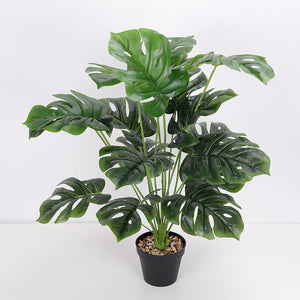 Artificial Flower Green Plant Monstera Plant Flower Indoor