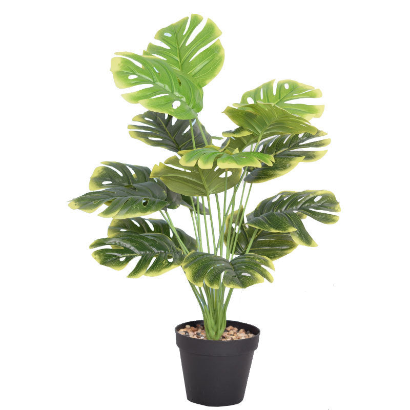 Artificial Flower Green Plant Monstera Plant Flower Indoor